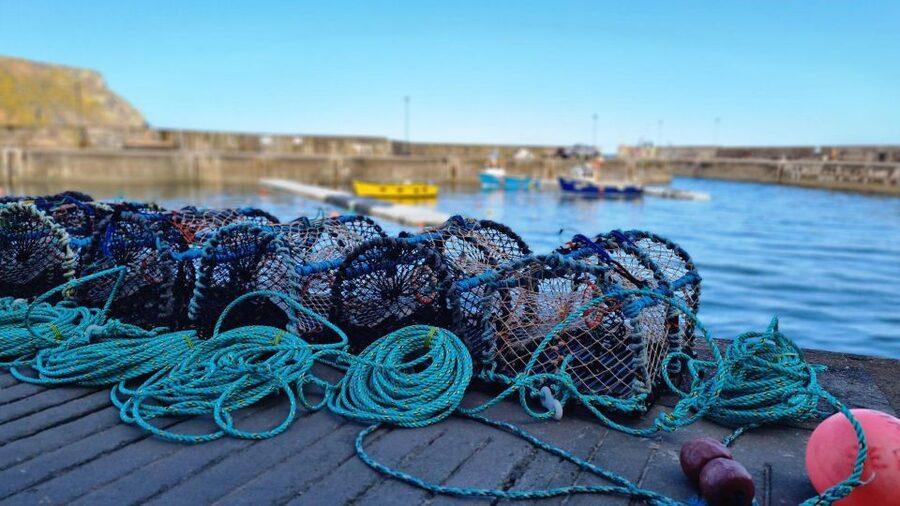 From Aberdeen: Coastal Villages of Aberdeenshire Tour - Fraserburgh: harbour life, lunch, and Kinnaird Head