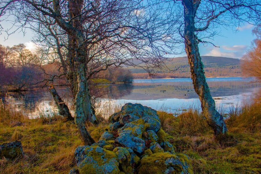 From Aberdeen: Dunnottar Castle and Cairngorms Day Trip - Cairngorms National Park by minibus