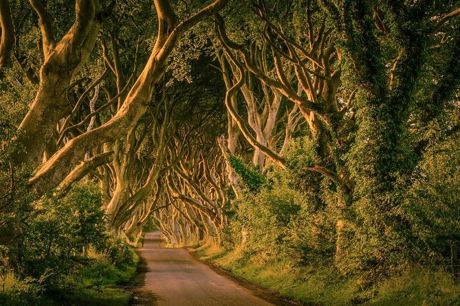 From Belfast-Giants Causeway, Dunluce Castle and Dark Hedges tour - The real value of $69.45