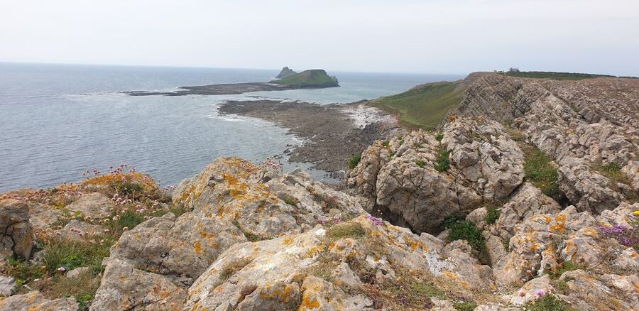 From Cardiff: Mumbles and Gower Peninsular Tour - The guide makes the difference