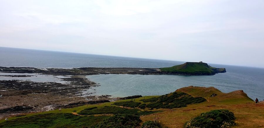 From Cardiff: Mumbles and Gower Peninsular Tour - Is $134 good value?