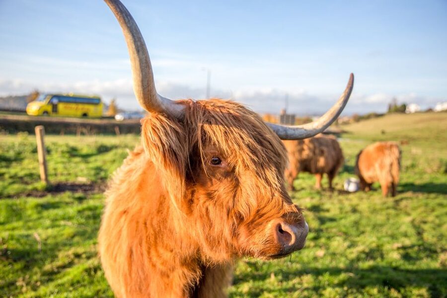 From Edinburgh: Isle of Skye & The Highlands 3-Day Tour - Who should book this Skye tour?