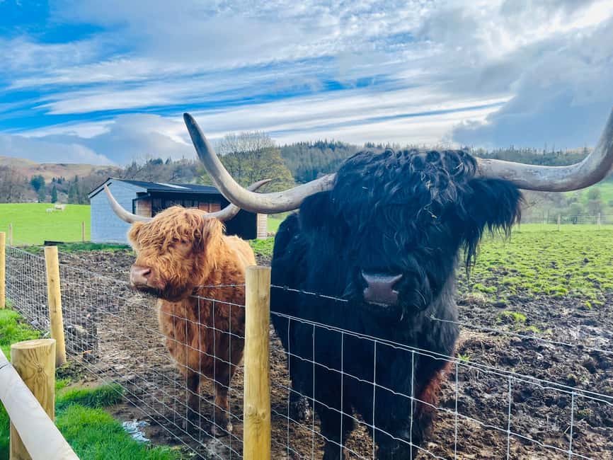 From Edinburgh: Loch Ness, Glencoe & The Highlands Day Trip - Why this Highlands day trip works
