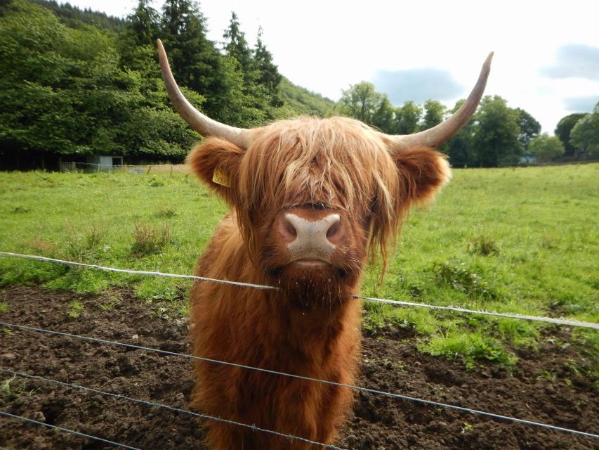 From Edinburgh: Scottish Highlands & Isle of Skye 5-Day Tour - Day four: Eilean Donan, Fort Augustus, and Loch Ness