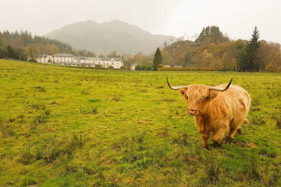 From Glasgow: Loch Lomond, Trossachs & Stirling Castle Tour - Coaches, guides, weather, and comfort