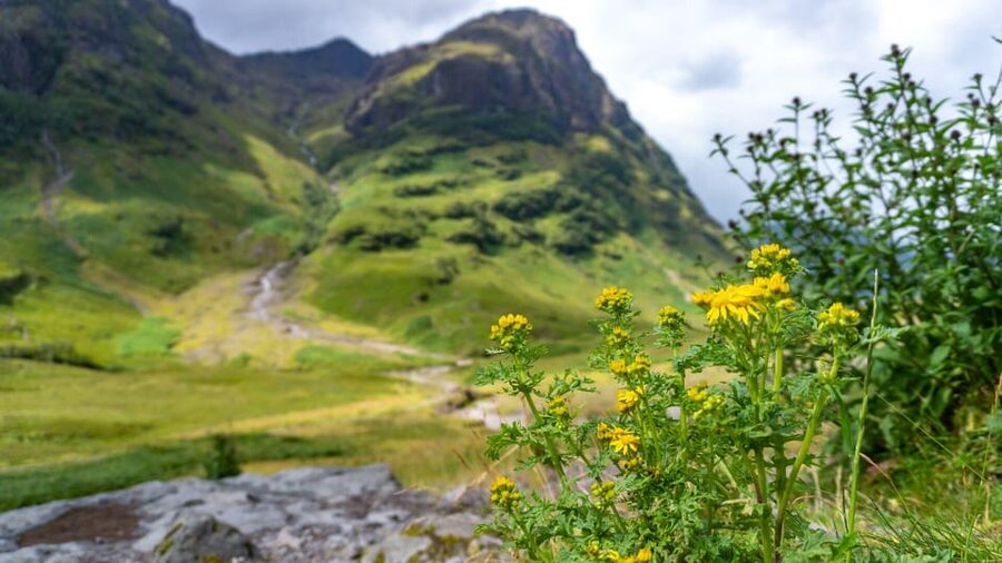 From Glasgow: Loch Ness, Glencoe and Scottish Highlands Trip - The Commando Memorial and Ben Nevis views