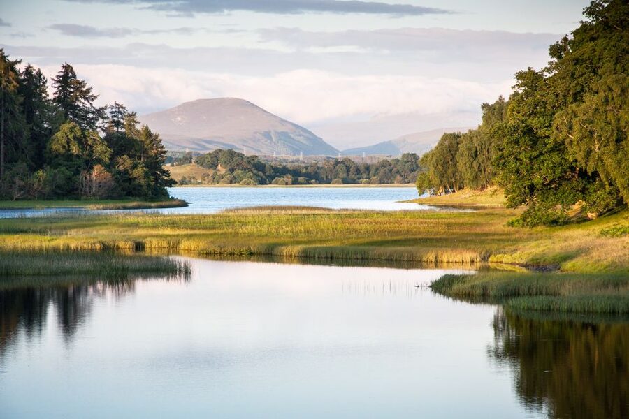 From Inverness: Cairngorms National Park and Whisky Tour - The day in five useful points
