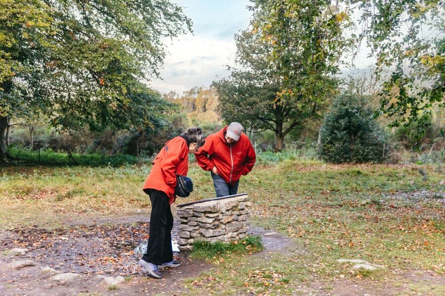 From Inverness: Glen Affric, Culloden, and Clava Cairns Tour - What makes this Highland day trip worth your time