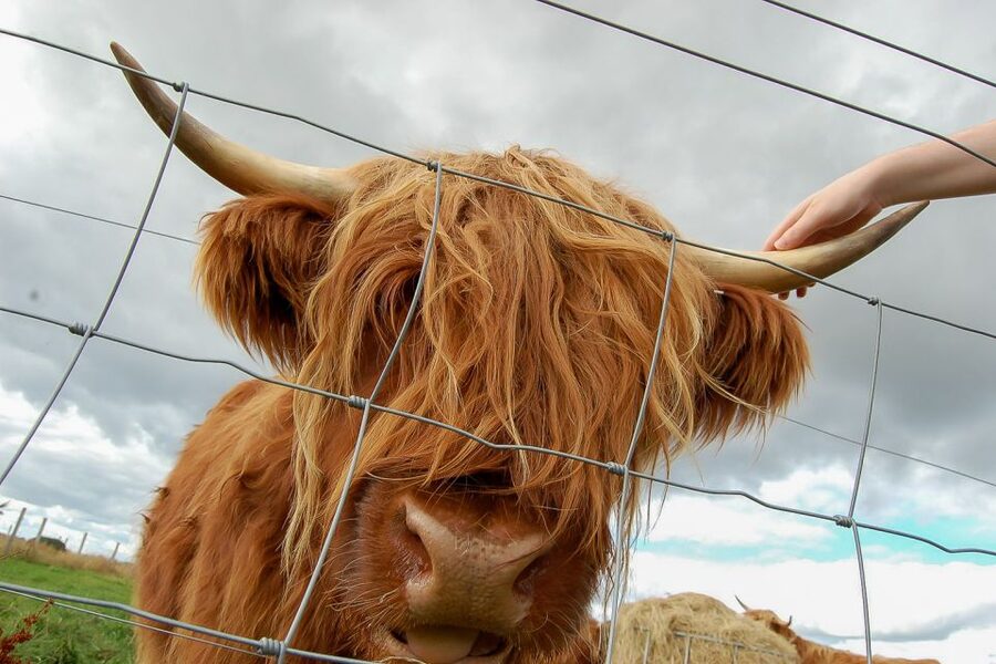 From Inverness: Isle of Skye and Fairy Pools Day Trip - The extra Isle of Skye pause