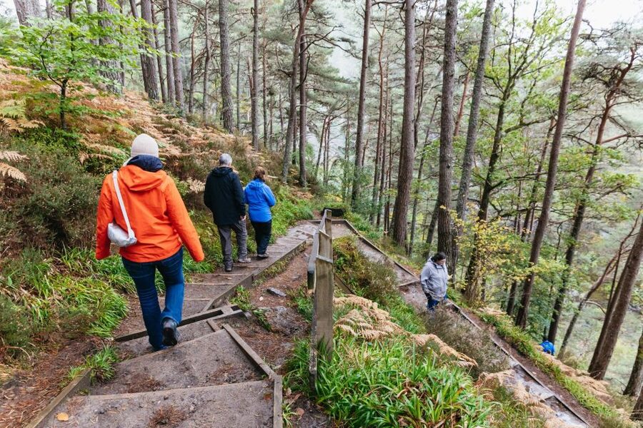 From Inverness: Loch Ness Guided Day Trip - Key Points Before You Book