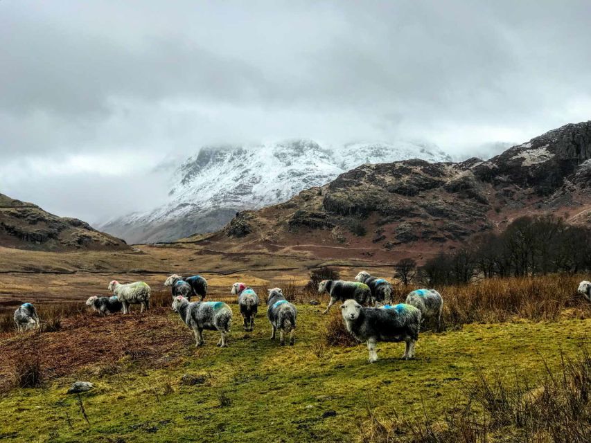 From Liverpool: Lake District Sightseeing Adventure Day Trip - Guides make or break a long day