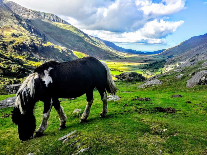 From Liverpool: North Wales Adventure Sightseeing Day Trip - Why the guides make such a difference