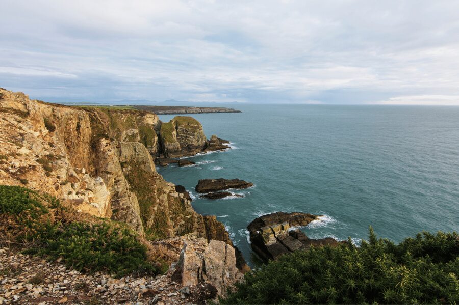From Liverpool: North Wales and Caernarfon Castle Tour - Conwy gives you a real town break