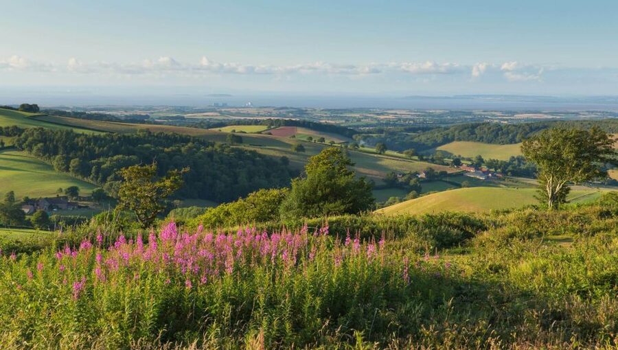 From London: Canterbury & White Cliffs of Dover Tour - Through Sandwich and Kent’s country roads