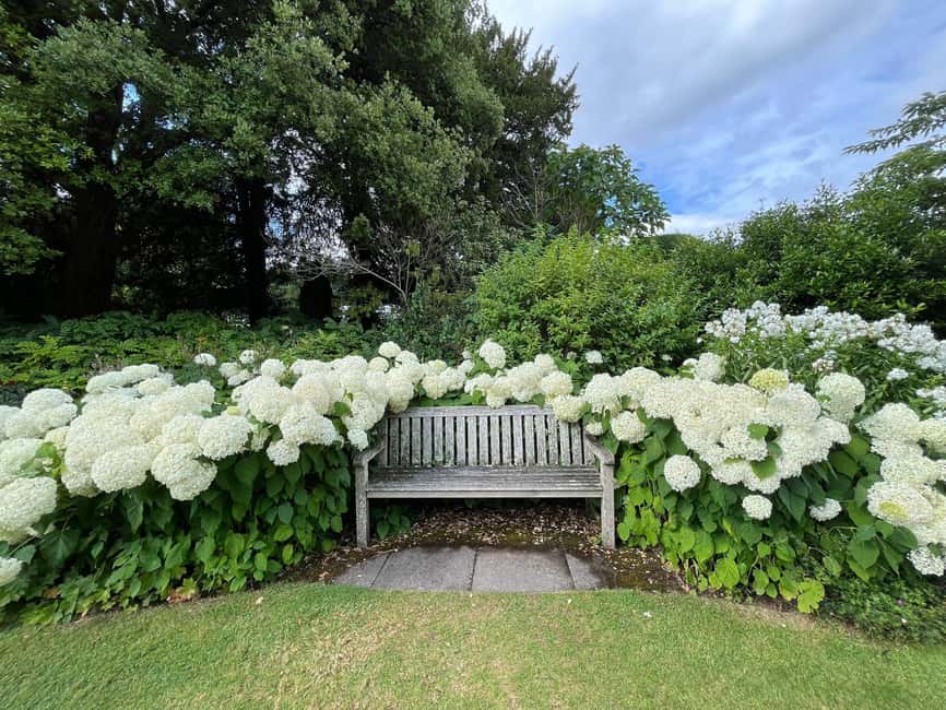 From London: Day Trip to Downton Abbey, Oxford and Bampton - The guides shape the whole day