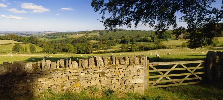 From London: Full-Day Cotswolds Small-Group Tour - Price, pace, and the real value