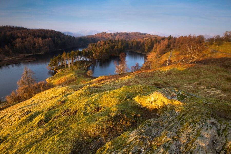 From London: Lake District Tour with Cream Tea & Cruise - Who should book this Lake District tour?