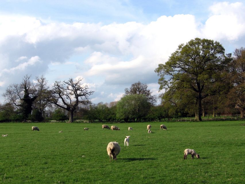 From London: Oxford, Stratford-upon-Avon & Cotswolds Trip - The pace: efficient, but not leisurely