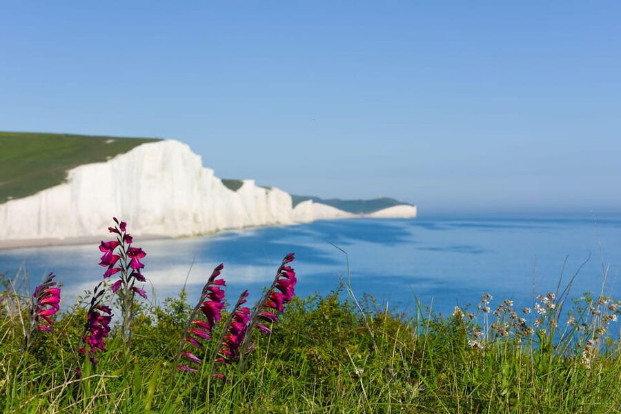 From London: Seven Sisters and Brighton Full-Day Tour - Meeting at London Bridge Without a Scramble