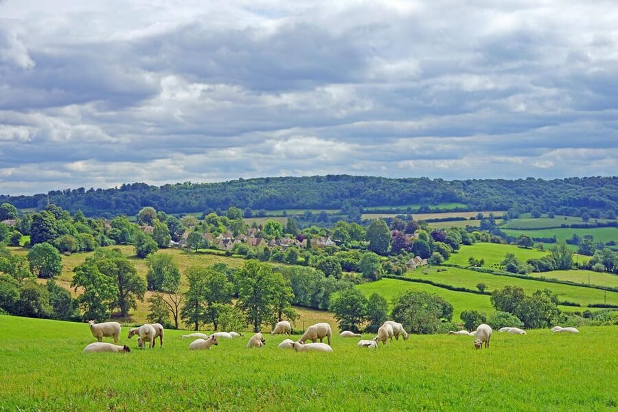 From London: Small Group Stonehenge, Bath & Cotswolds Tour - Royal Crescent and the value of a guided overview