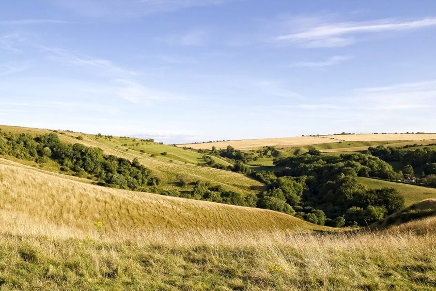 From London: Stonehenge and Bath Day Trip with Ticket - Who should choose this day trip?