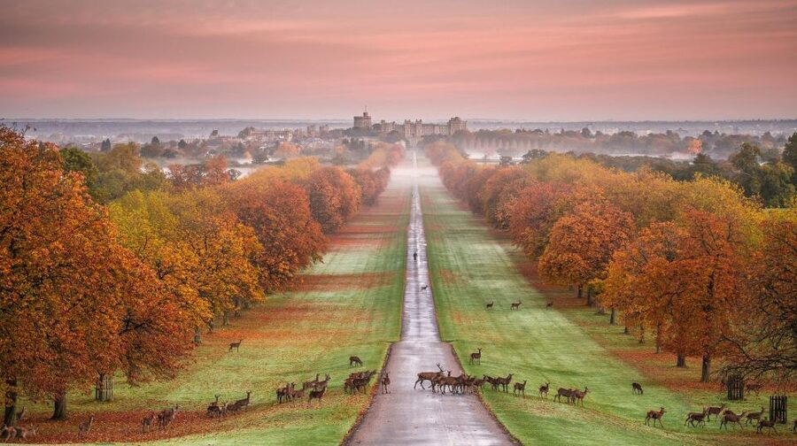 From London: Stonehenge, Windsor and Salisbury Guided Tour - Should you book it?
