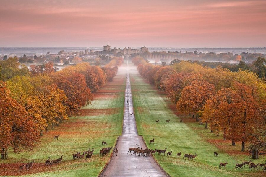 From London: Windsor Castle Afternoon Sightseeing Tour - Who will enjoy this Windsor excursion?