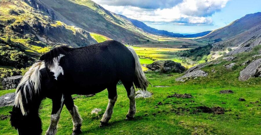 From Manchester: North Wales Sightseeing Adventure Day Trip - Into Snowdonia and the Ogwen Valley