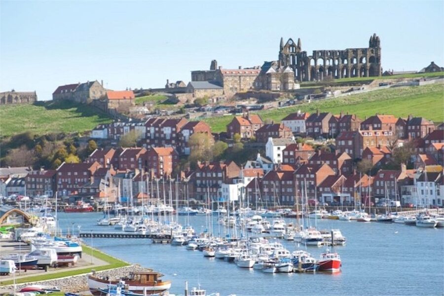 From York: Day Trip to Whitby and The North York Moors - The minibus, guide, and group size