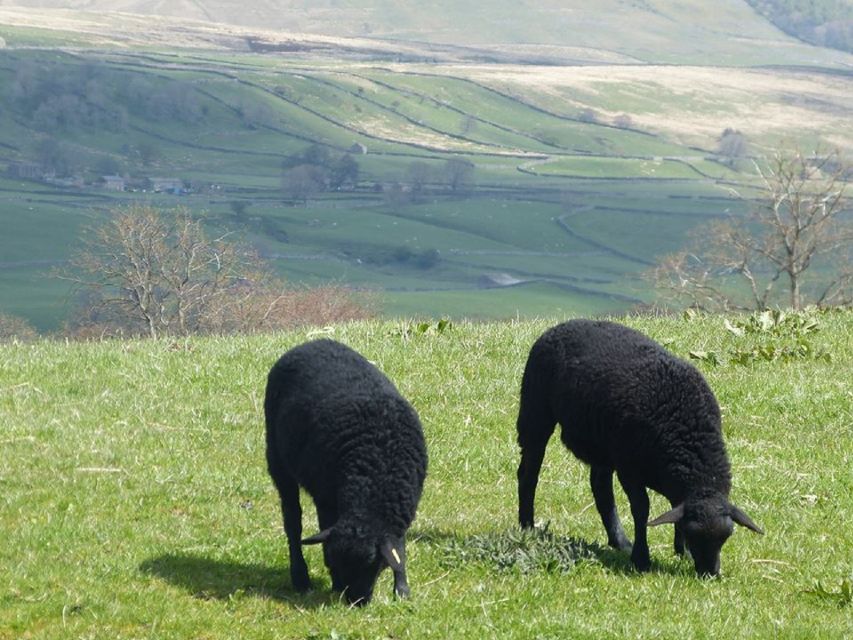 From York: Full-Day Yorkshire Dales Tour - The day at a glance