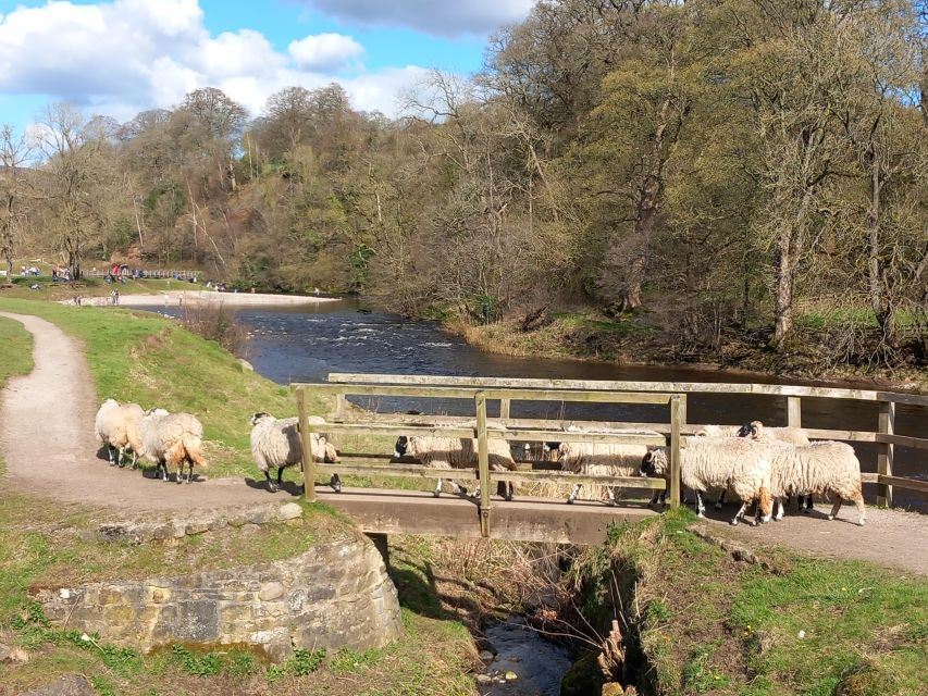 From York: Herriot and Yorkshire Dales Day Trip - Key points to know before booking