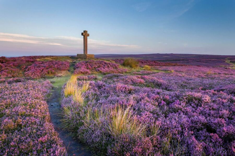 From York: Moors, Whitby, and the Yorkshire Steam Railway - Whitby Abbey, Captain Cook, and Dracula