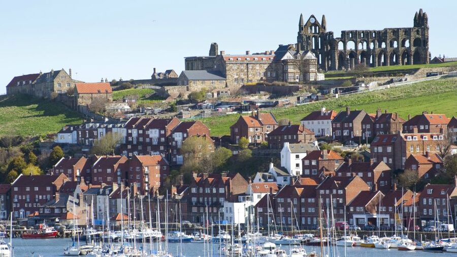 From York: Moors, Whitby, and the Yorkshire Steam Railway - Timing, comfort, and who should book