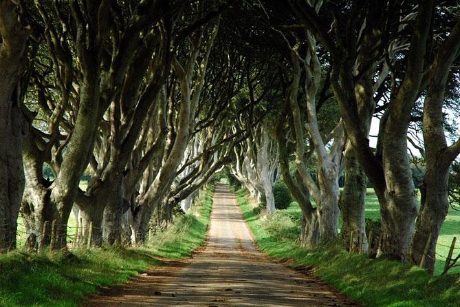 Game of Thrones and Giant's Causeway Day Tour from Belfast - Bushmills and the whisky question
