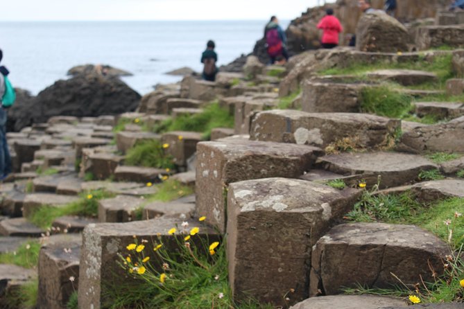 Game of Thrones and Giant's Causeway Day Tour from Belfast - Coach comfort, timing, and the return to Belfast