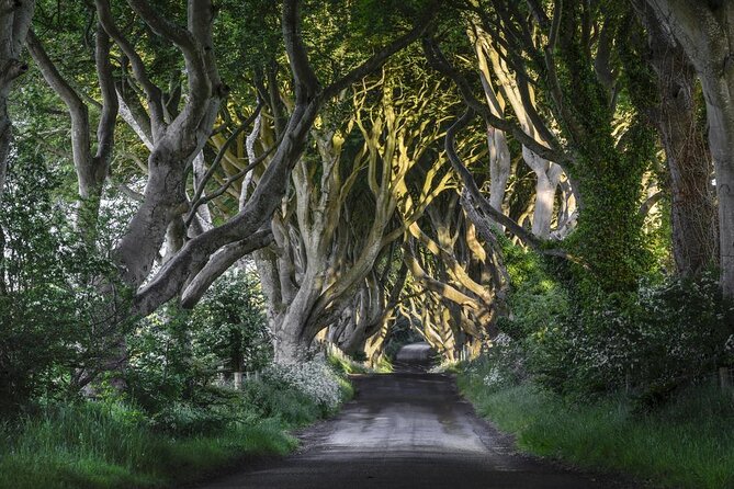 Game of Thrones - Private Audi A6 tour with Richard the Wildling - Key points at a glance