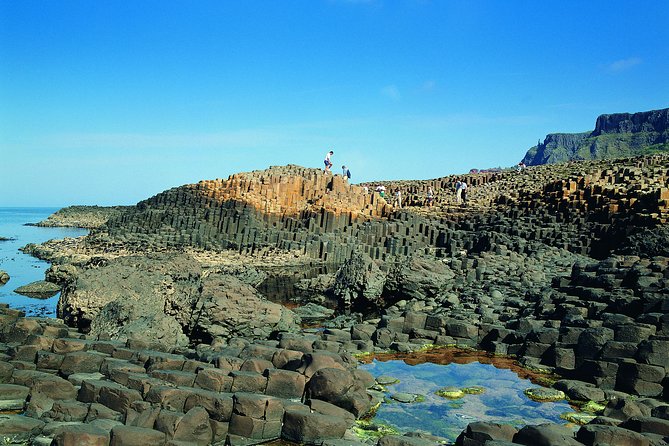 Giant's Causeway and Belfast City Murals Tour inc Game of Thrones Dark Hedges - The Dark Hedges and its Game of Thrones connection
