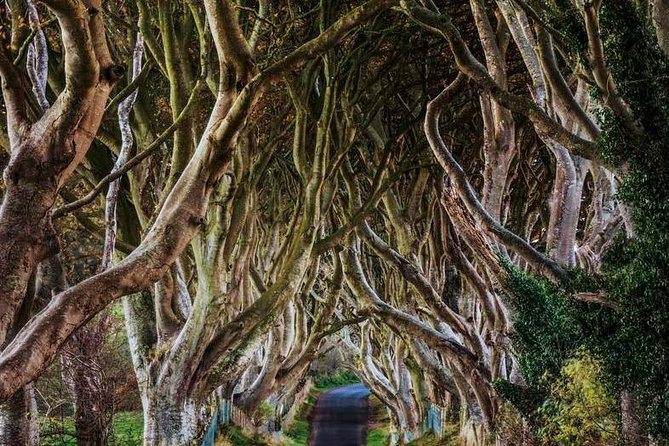 Giant's Causeway Full Day Tour from Belfast - What the guides and drivers add