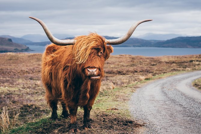 Glasgow: Isle of Skye, The Highlands and Loch Ness - 3 Day Tour - Guides are the strongest part of the experience