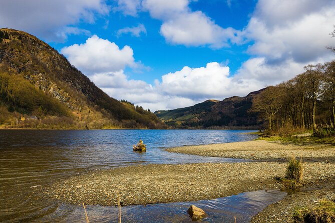 Glenfinnan Viaduct, Glencoe and Loch Shiel 1 Day Tour - Edinburgh - Highland cattle and the small moments between stops