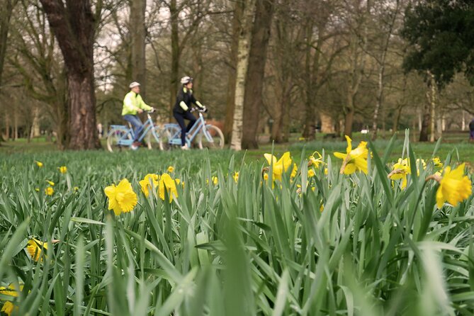 Guided Cycle Tours of Cardiff - The Senedd and the seat of Welsh government