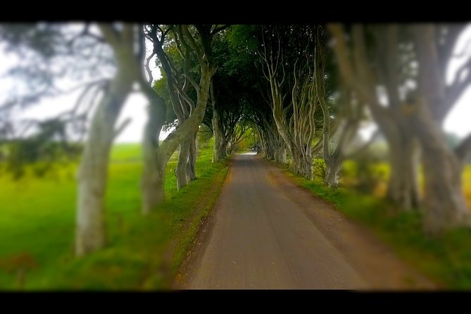 Guided Day Tour of Giant's Causeway from Belfast by Comfortable Coach - Dunluce Castle and the Antrim coast