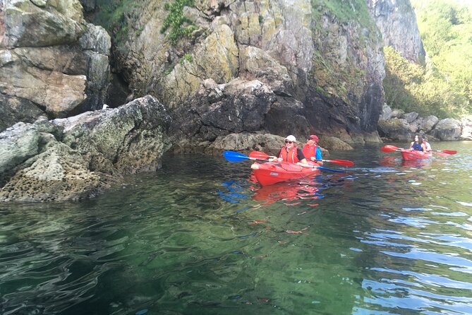 Guided Wildlife and Sea Cave Kayak Safari in English Riviera - The secluded beach stop, fossils, herbs, and fire