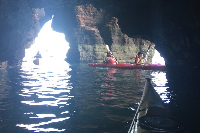 Guided Wildlife and Sea Cave Kayak Safari in English Riviera - How much effort should you expect?