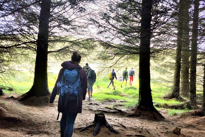 Hill & Nature Hike - Discover Real Edinburgh With a Local Expert - What Rishi adds to the experience