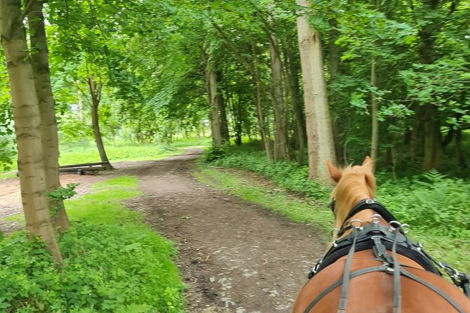 Horse drawn carriage ride york - Tips for making the ride better
