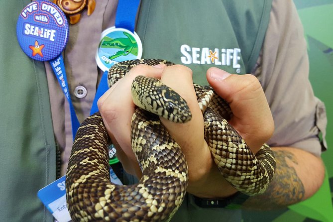 Hunstanton SEA LIFE Sanctuary General Admission Ticket - What your $21.92 admission includes