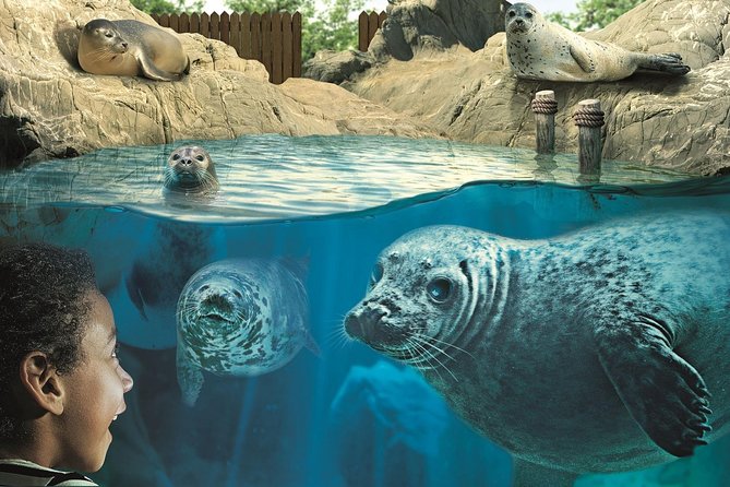 Hunstanton SEA LIFE Sanctuary General Admission Ticket - Meet Smartie, Twix, and Yorkie by the Otter River