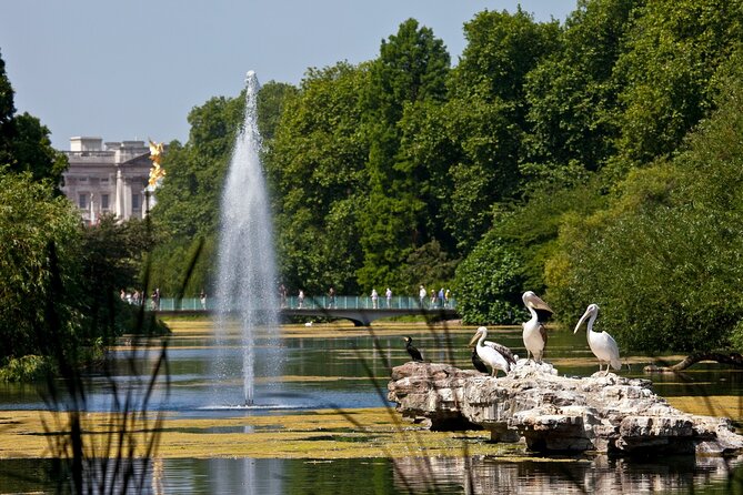Inside Buckingham Palace State Rooms & Royal London Walking Tour - How much walking should you expect?