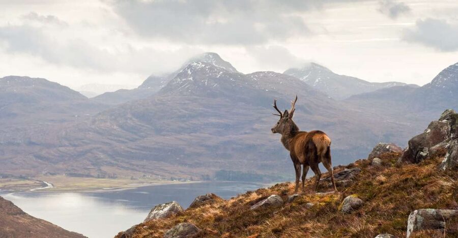 Inverness: Applecross, Loch Carron & Wild Highlands Day Tour - Key points at a glance